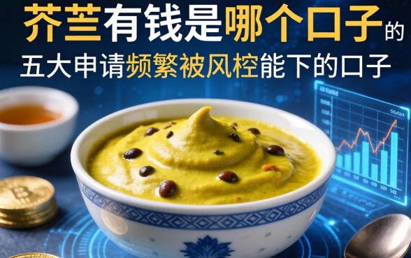 芥末有钱是哪个口子的，五大申请频繁被风控能下的口子