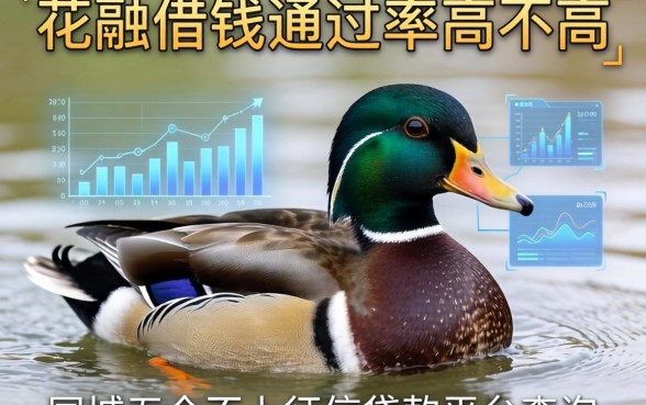 花鸭借钱通过率高不高，同城五个不上征信贷款平台查询