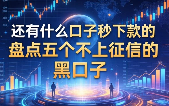 还有什么口子秒下款的，盘点五个不上征信的黑口子