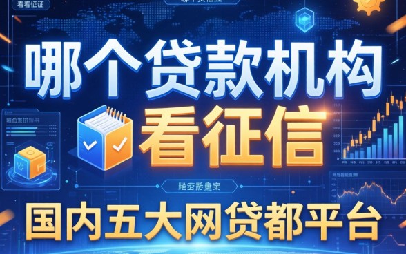 哪个贷款机构不看征信，国内五大网贷都平台