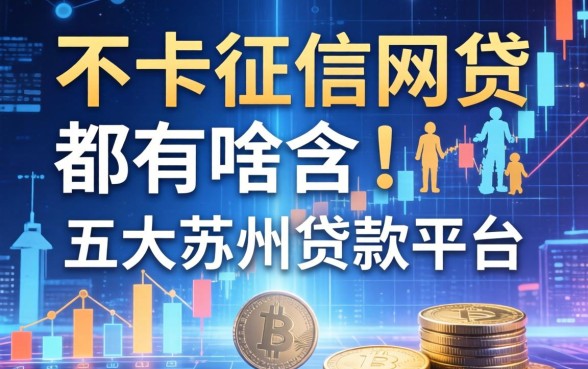 不卡征信的网贷都有啥，五大苏州贷款平台