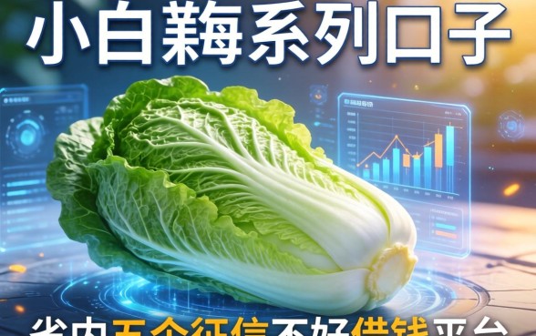 小白菜系列口子有哪些，省内五个征信不好借钱的平台