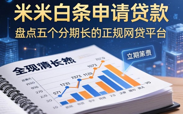 使用米粒白条申请贷款，盘点五个分期长的正规网贷平台