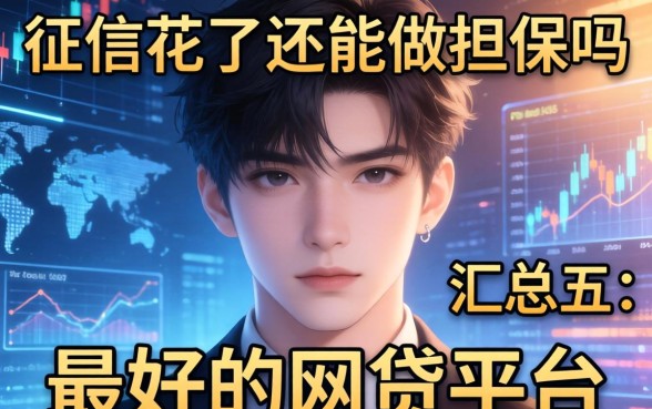 征信花了还能做担保吗，汇总五个最好的网贷平台