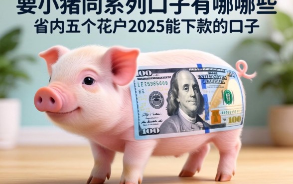小猪同系列口子有哪些，省内五个花户2025能下款的口子