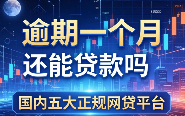 逾期一个月还能贷款吗，国内五大正规的网贷平台