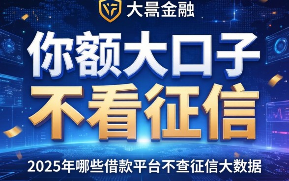 哪些大额口子不看征信，总结五个2025年哪些借款平台不查征信大数据