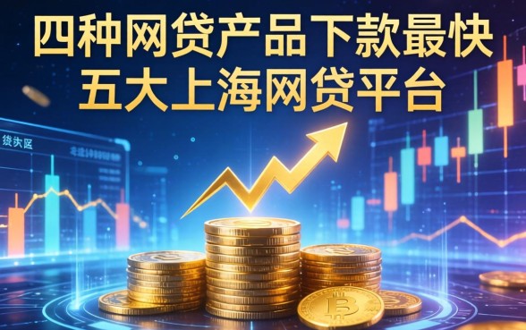 哪种网贷产品下款最快，五大上海网贷平台