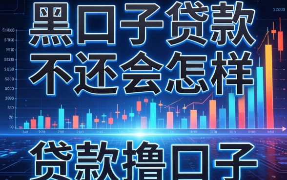 黑口子贷款不还会怎样，整理五个贷款撸口子