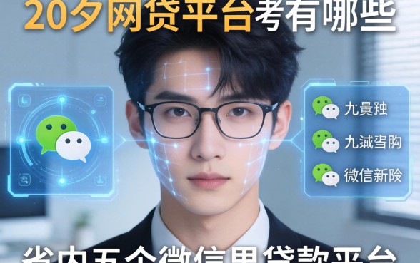 20岁网贷平台有哪些，省内五个微信里的贷款平台