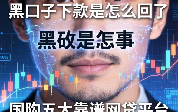 黑口子下款是怎么回事，国内五大靠谱的网贷平台