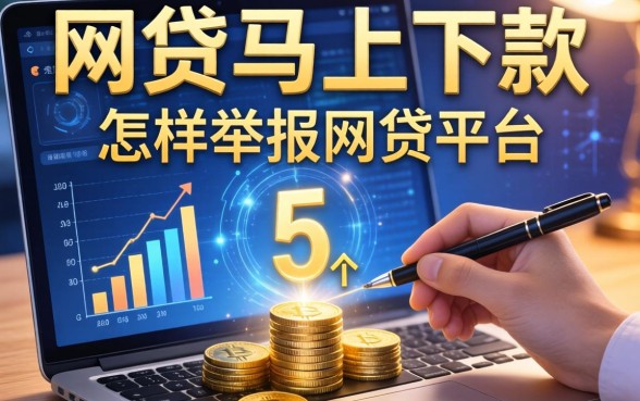 网贷马上下款的有哪些，例举5个怎样举报网贷平台