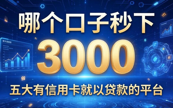 哪个口子秒下3000，五大有信用卡就可以贷款的平台