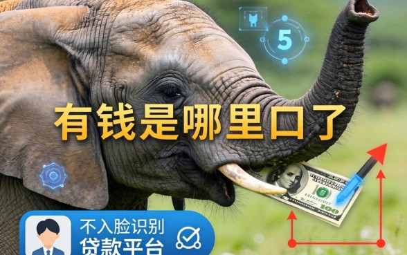 小象有钱是哪里的口子，整理五个不用人脸识别的贷款平台