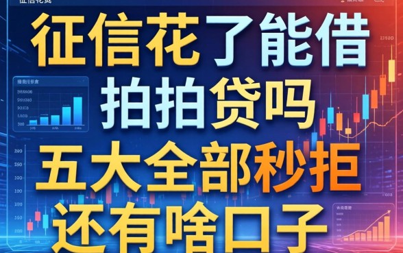 征信花了能借拍拍贷吗,五大全部秒拒还有啥口子