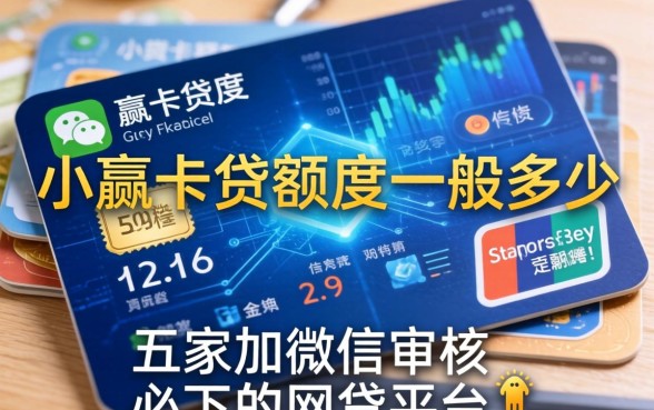 小赢卡贷额度一般多少，解答五家加微信审核必下的网贷平台