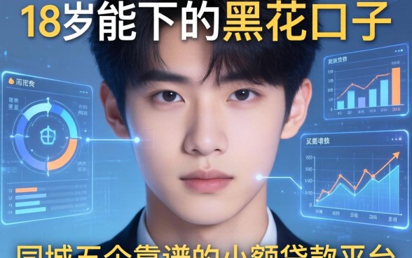 18岁能下的黑花口子，同城五个靠谱的小额贷款平台