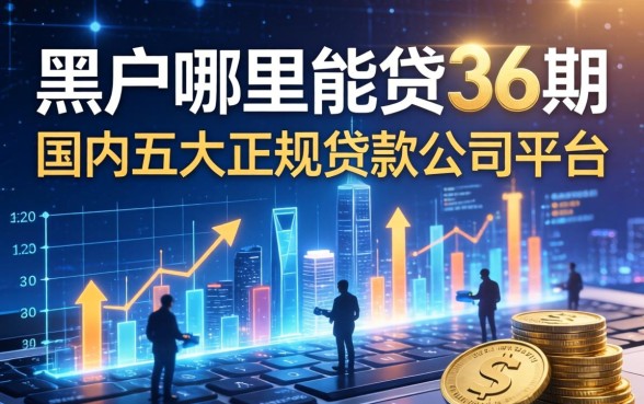 黑户哪里能贷36期的，国内五大正规贷款公司平台