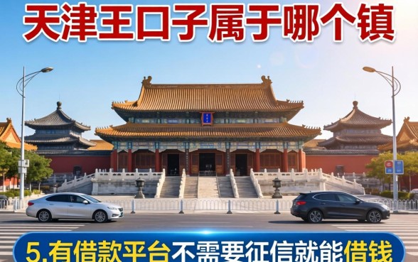 天津王口子属于哪个镇，例举5个有借款平台不需要征信就能借钱的
