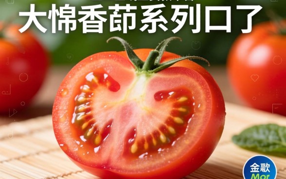 大番茄系列口子有哪些，汇总五个线上贷款平台