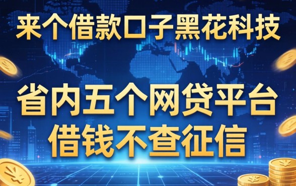 来个借款口子黑花科技，省内五个网贷平台借钱不查征信