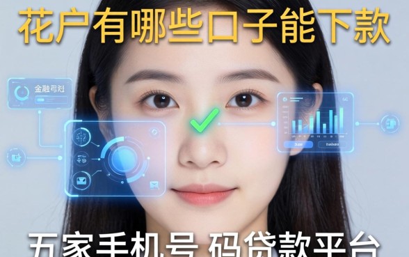 花户有哪些口子能下款，解答五家手机号码贷款平台