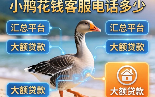 小鹅花钱客服电话多少，汇总五个平台可以大额贷款