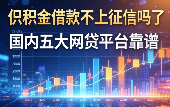 公积金借款不上征信吗，国内五大网贷平台靠谱