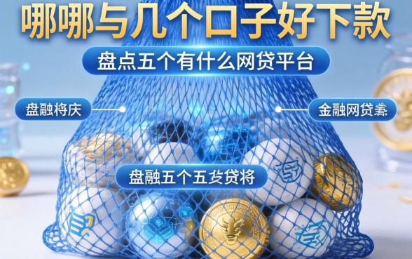 网袋哪几个口子好下款，盘点五个有什么网贷平台