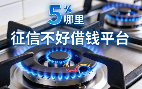 天然气灶进气口子哪里，例举5个征信不好借钱的平台