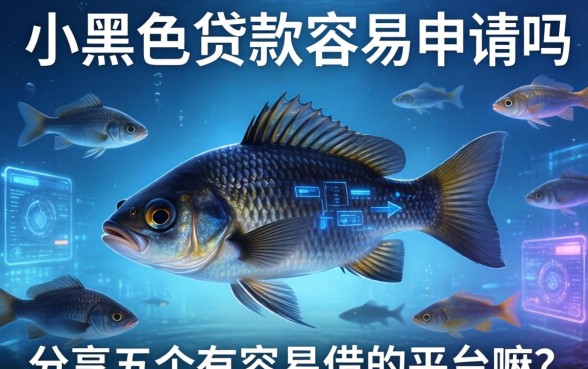小黑鱼贷款容易申请吗，分享五个有容易借的平台嘛