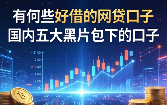 有哪些好借的网贷口子，国内五大黑户包下的口子