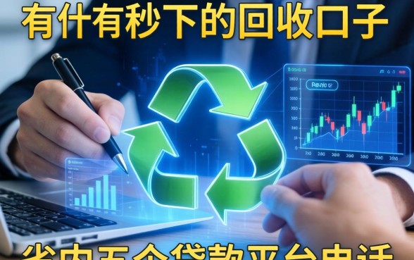 有哪些秒下的回收口子，省内五个贷款平台电话