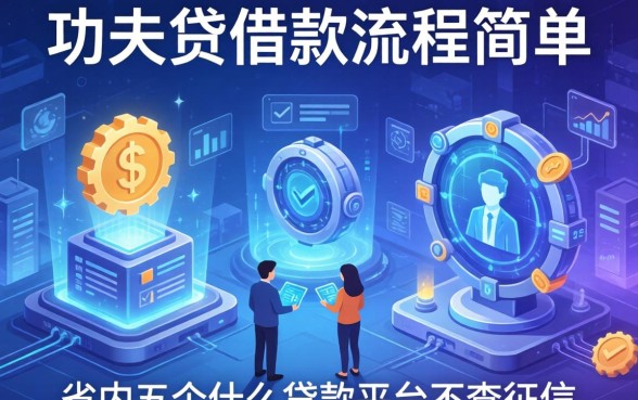 功夫贷借款流程简单吗，省内五个什么贷款平台不查征信