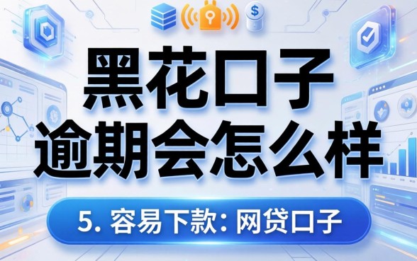 黑花口子逾期会怎么样，归纳5个容易下款的网贷口子