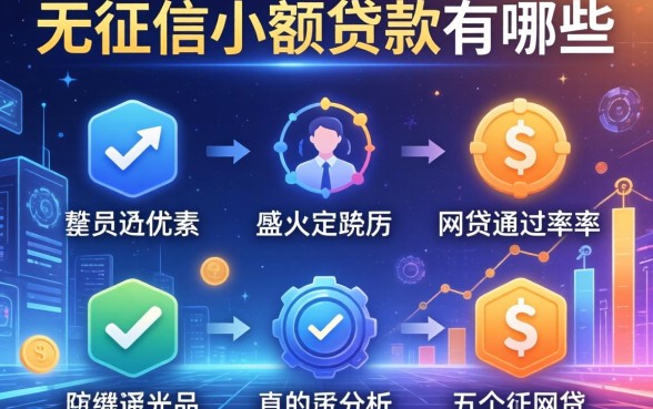 无征信小额贷款有哪些，分析五个网贷通过率高的平台