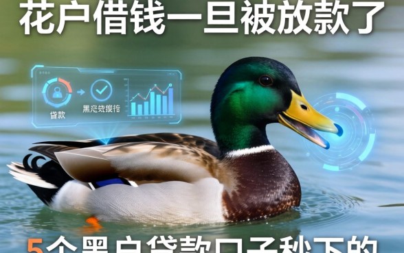花鸭借钱一旦被放款了，归纳5个黑户贷款口子秒下的