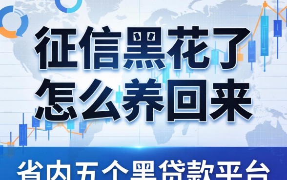 征信黑花了怎么养回来，省内五个黑贷款平台
