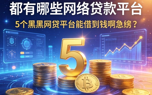 都有哪些网络贷款平台，归纳5个黑户网贷平台能借到钱啊急用
