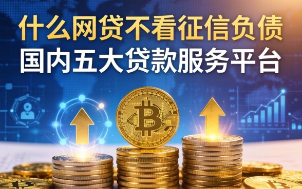 什么网贷不看征信负债，国内五大贷款服务平台