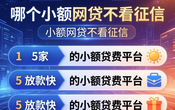 哪个小额网贷不看征信，阐述5家放款快的小额贷款平台