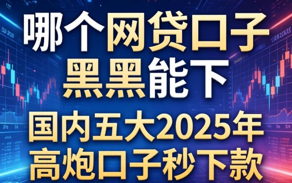 哪个网贷口子黑户能下，国内五大2025年高炮口子秒下款
