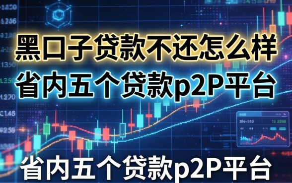 黑口子贷款不还怎么样，省内五个贷款p2p平台