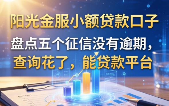 阳光金服小额贷款口子，盘点五个征信没有逾期,查询花了,能贷款的平台