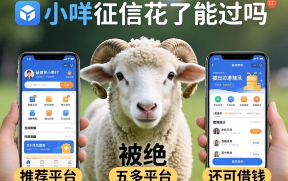 羊小咩征信花了能过吗，推荐五个多个平台被拒还可借钱的软件