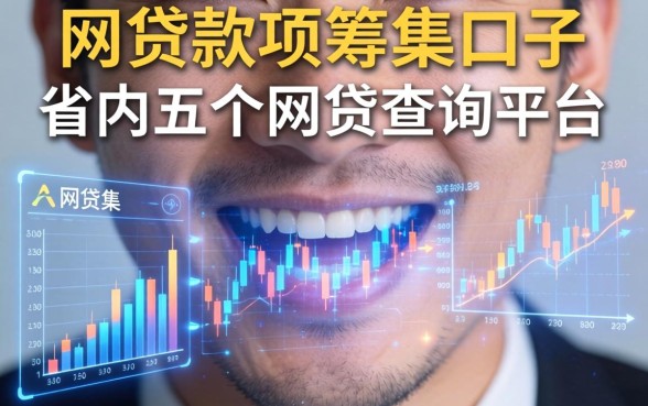 网贷款项筹集中的口子，省内五个网贷查询平台