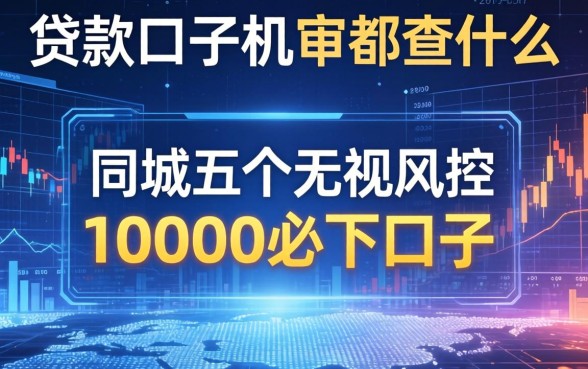 贷款口子机审都查什么，同城五个无视风控10000必下口子