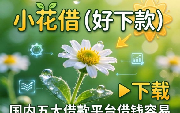小花借(好下款)下载，国内五大借款平台借钱容易