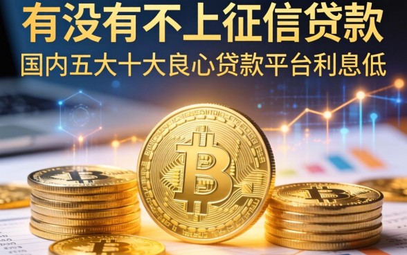 有没有不上征信的贷款，国内五大十大良心贷款平台利息低