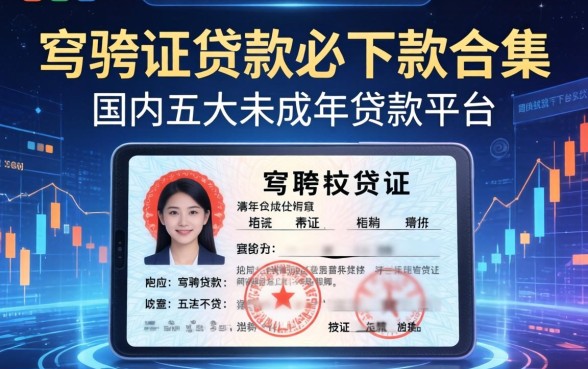 驾驶证贷款必下款合集，国内五大未成年贷款平台